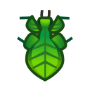Phyllie