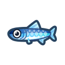 Anchois