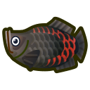 Arapaïma