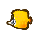 Poisson-papillon