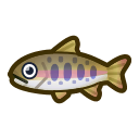 Saumon masou