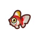Poisson rouge