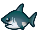 Grand requin blanc