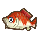 Carpe koï