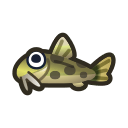 Loche d'étang