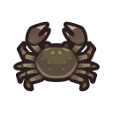 Crabe chinois