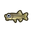 Poisson docteur