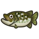 Brochet