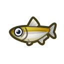 Éperlan