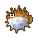 Poisson-porc-épic