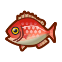 Vivaneau