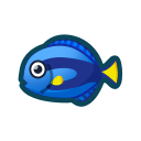 Poisson chirurgien