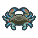 Crabe gazami