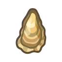 Huître
