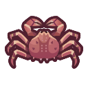 Crabe royal