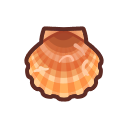 Pétoncle