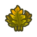 Wakame
