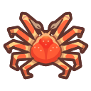 Crabe-araignée géant