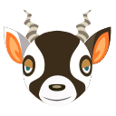 Régis