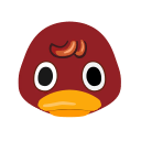 Choco
