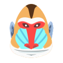 Babouin