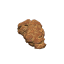 Coprolithe