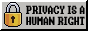 Privacy is a human right