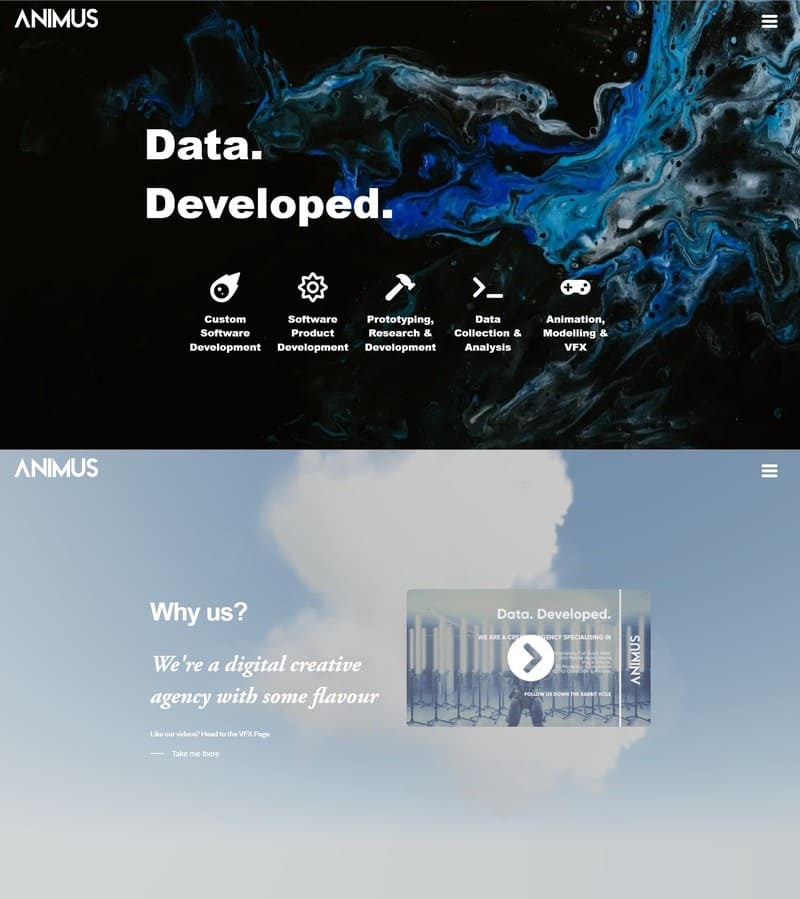 Animus Development