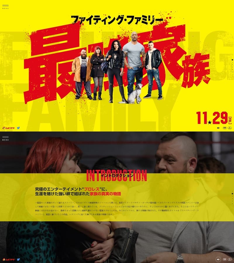 Fighting Family - Movie