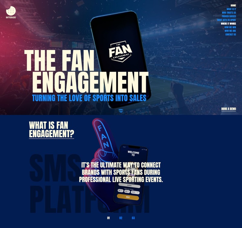 The Fan Engangement