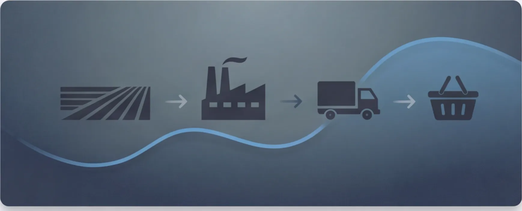 Celsius Holdings Boosts Board, Eyes Strong Growth