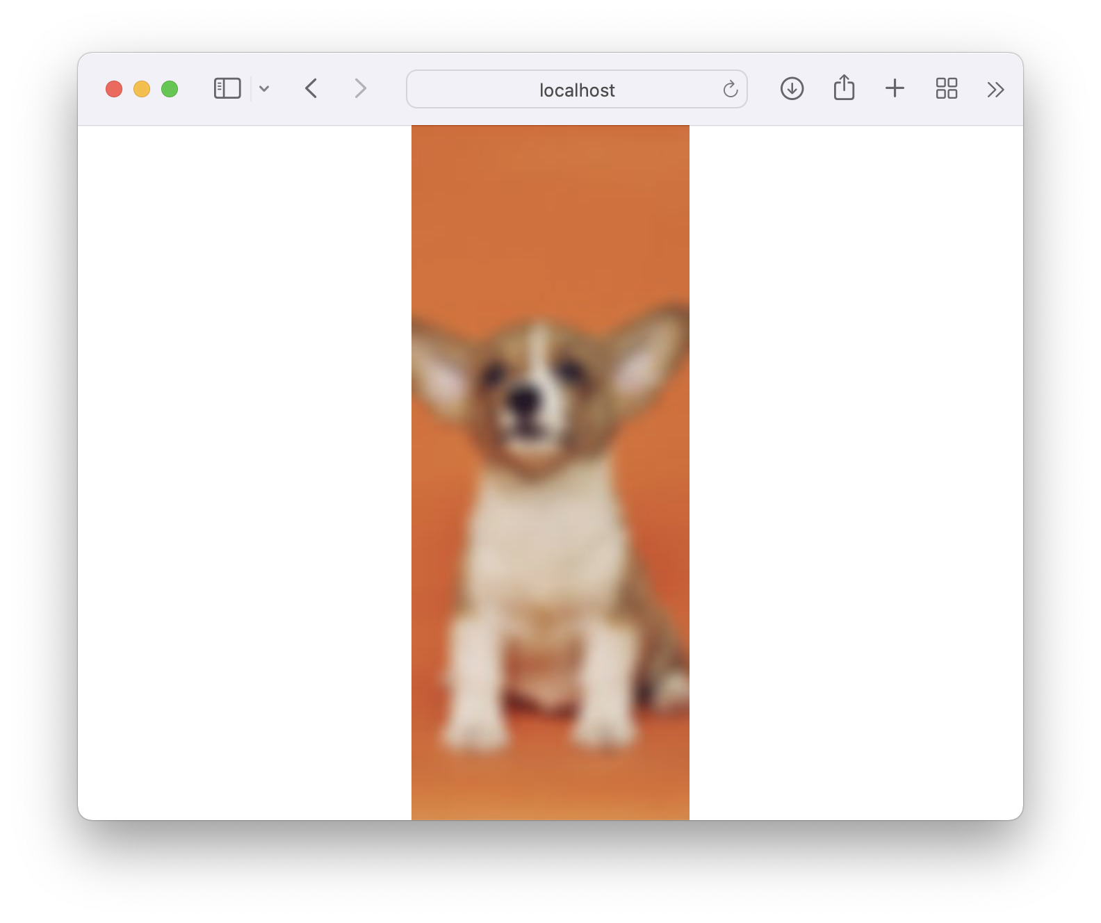 Screenshot of resized puppy image with blur effect