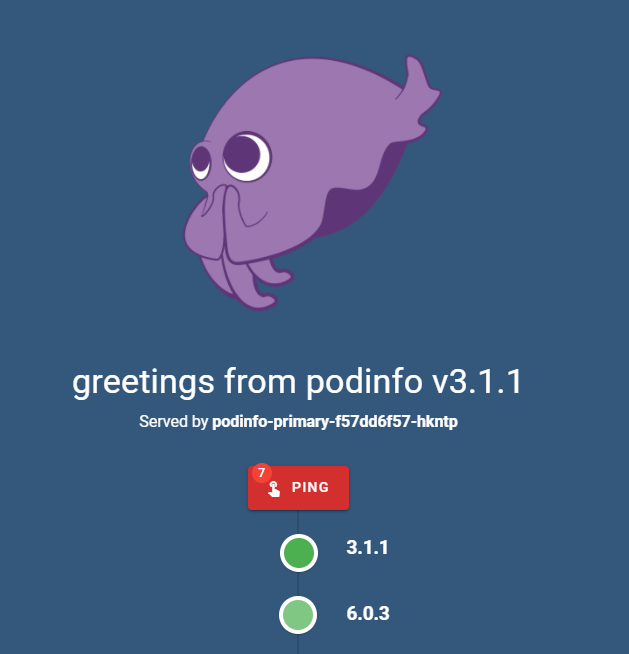 podinfo - Different Versions During Release