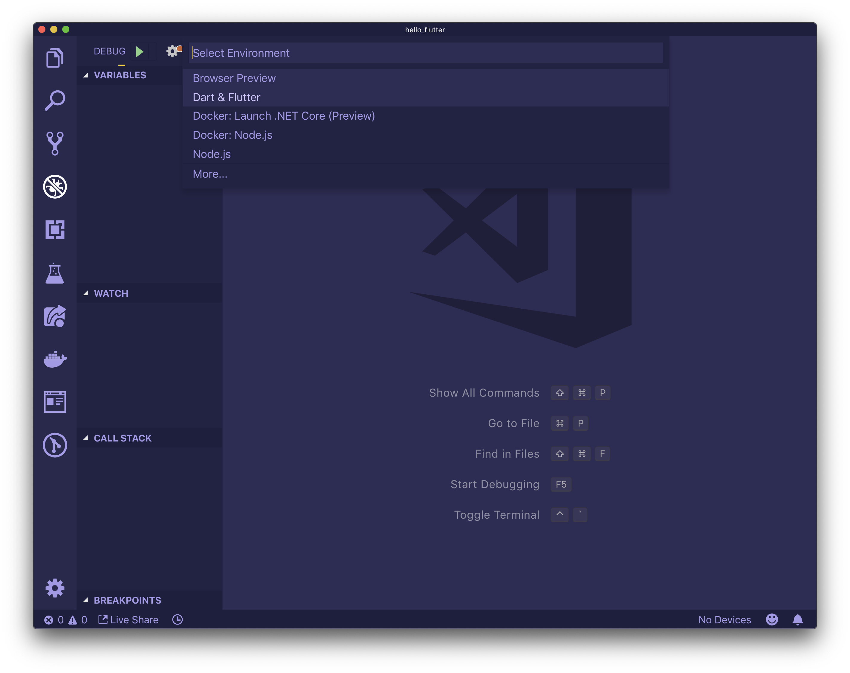在Visual Studio Code.