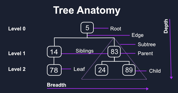 Diagram: anatomy of a tree