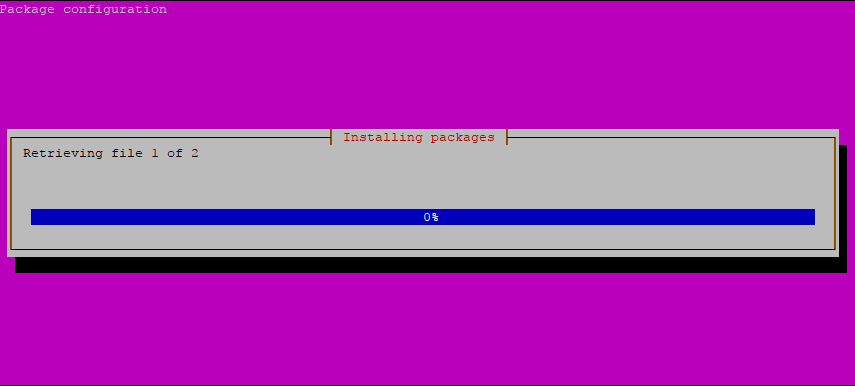 Step 1: Pi-hole Installation Script