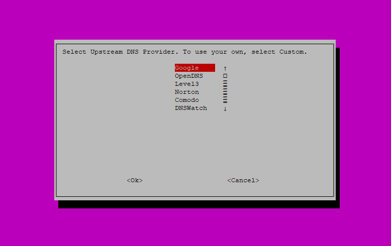 Step 6: Pi-hole Installation Script