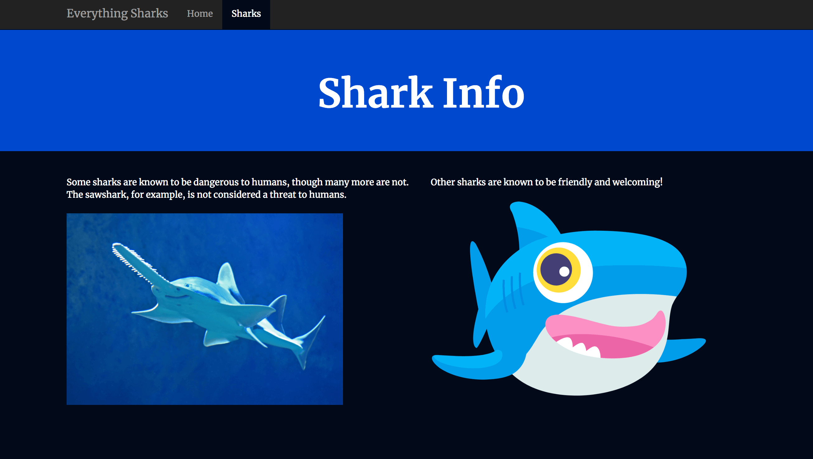 Shark Info Page