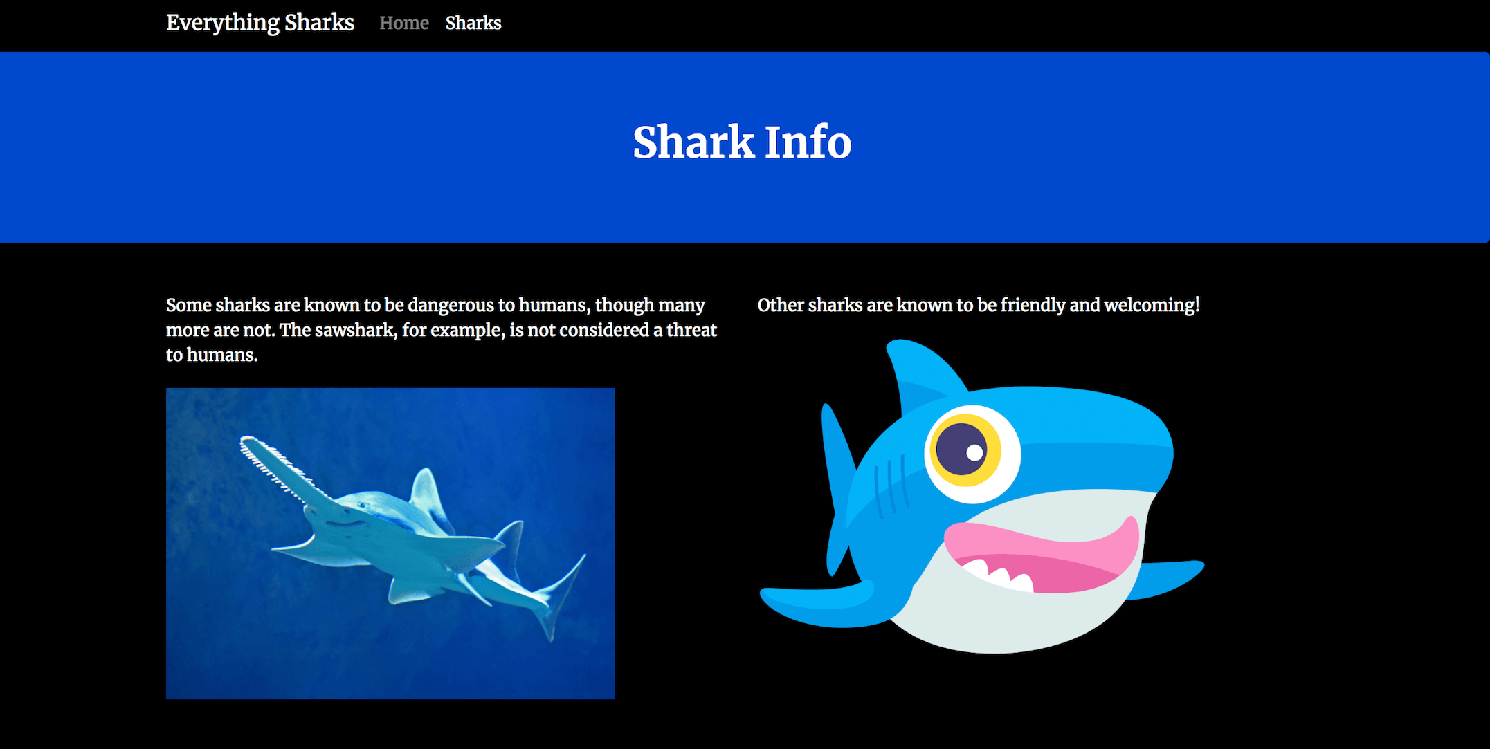 Shark Info Page