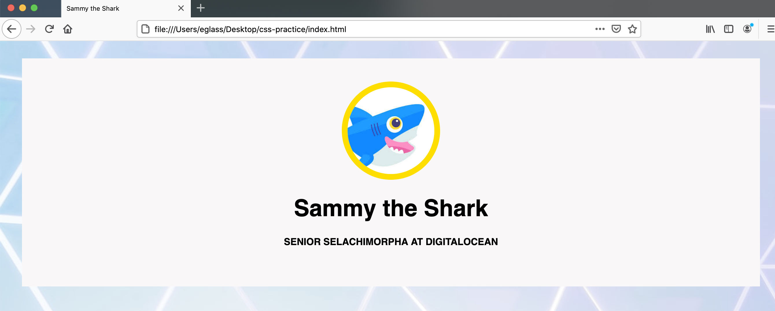 Header content now centered and styled