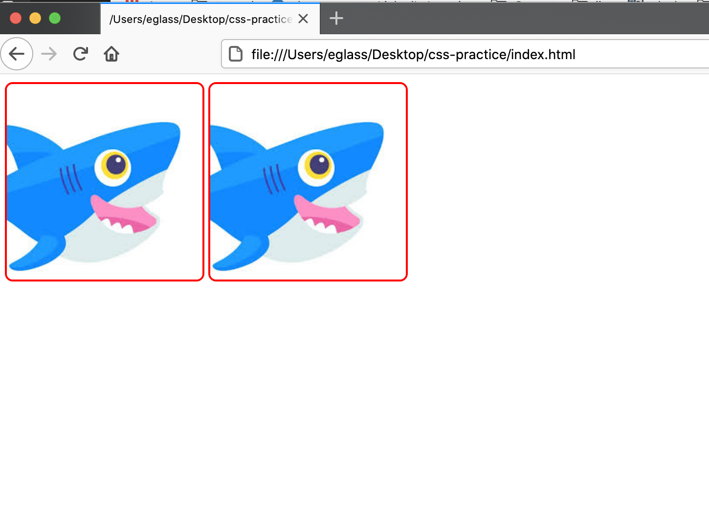 Webpage displaying two images with the same style