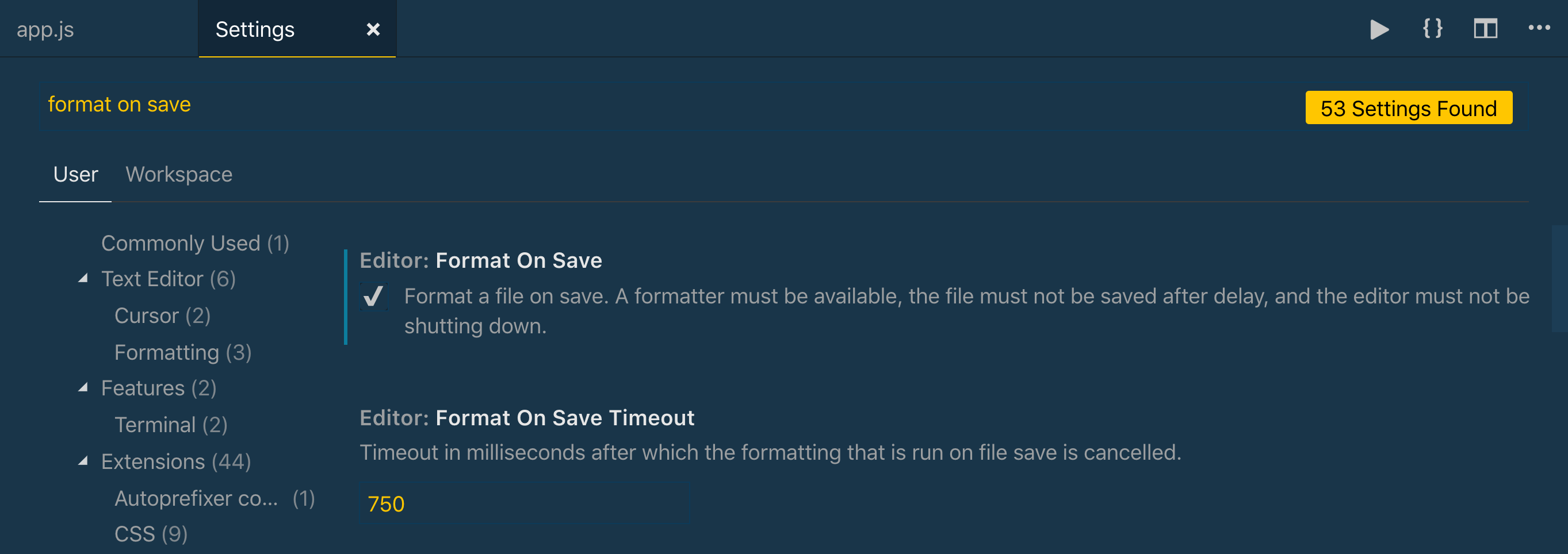 Editor: Format On Save checked