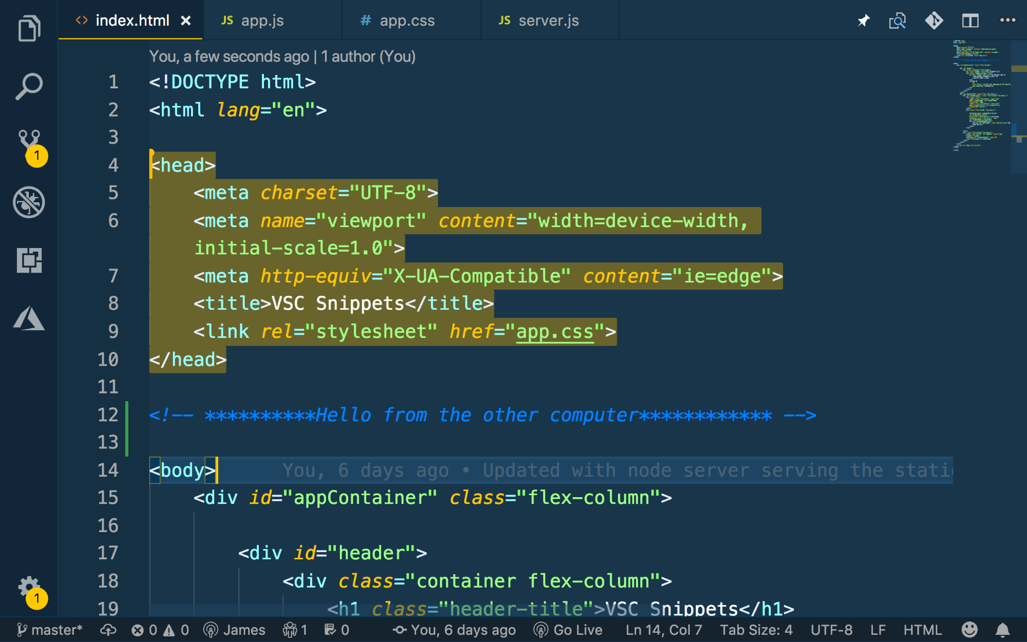 An example of highlighted lines of code visible to the other user