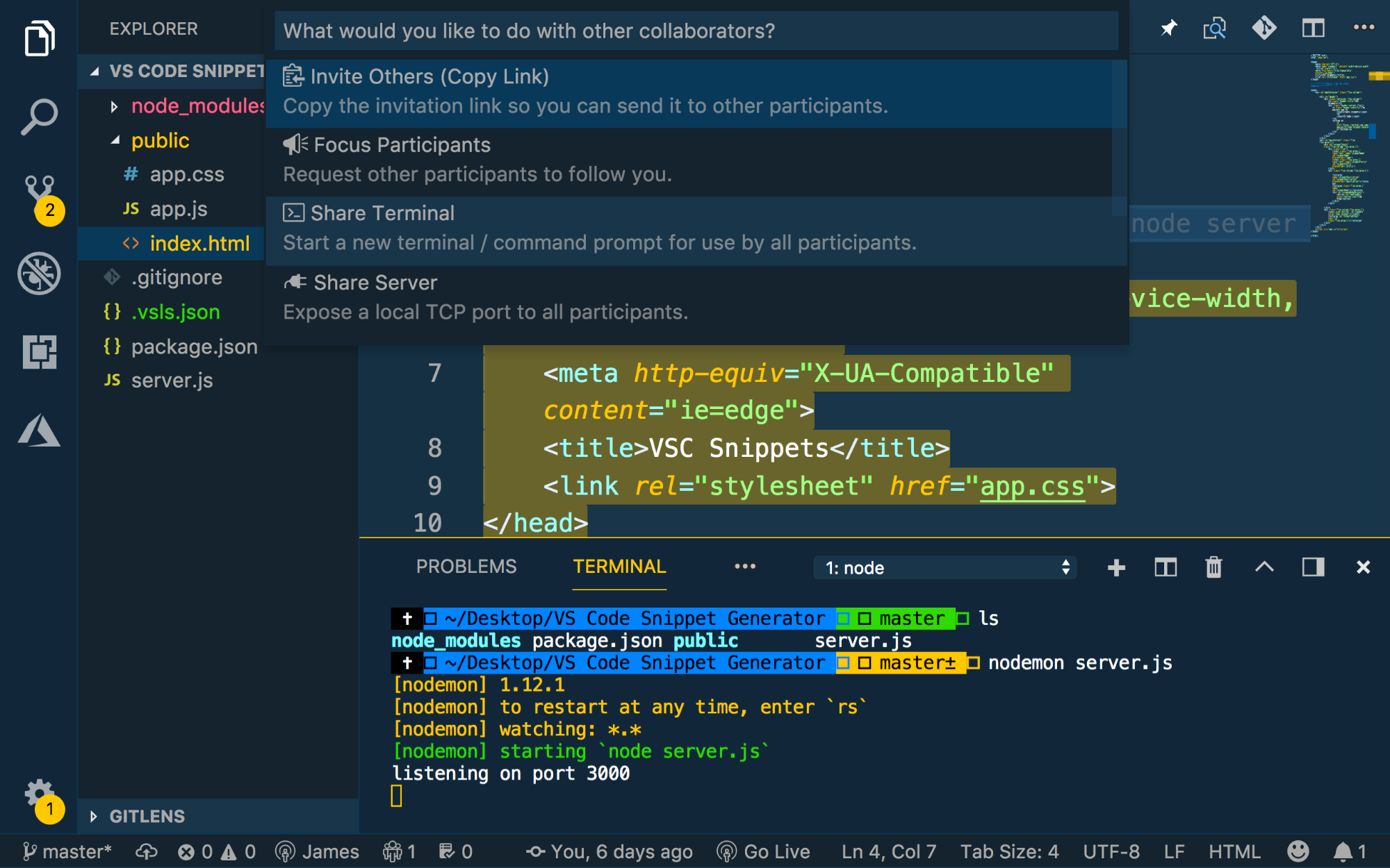 Command Pallete open with Share Terminal selected