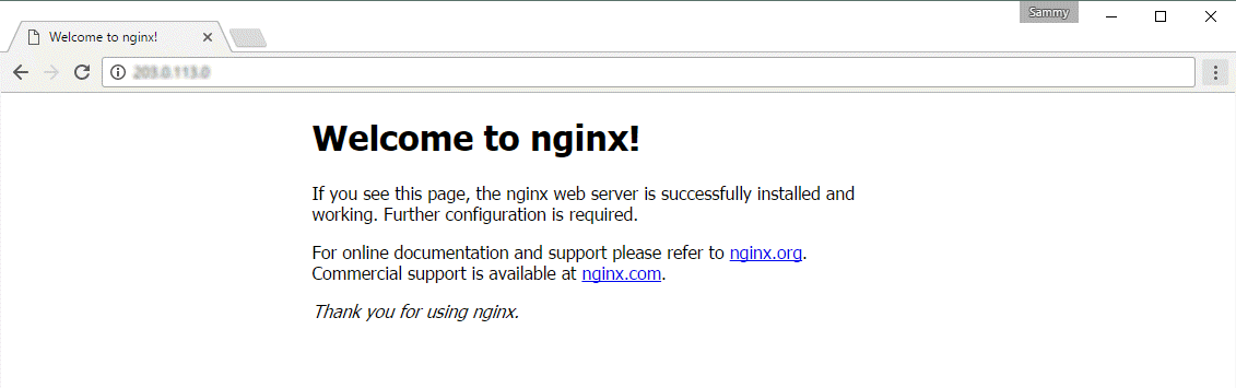 Screenshot of the default nginx web page