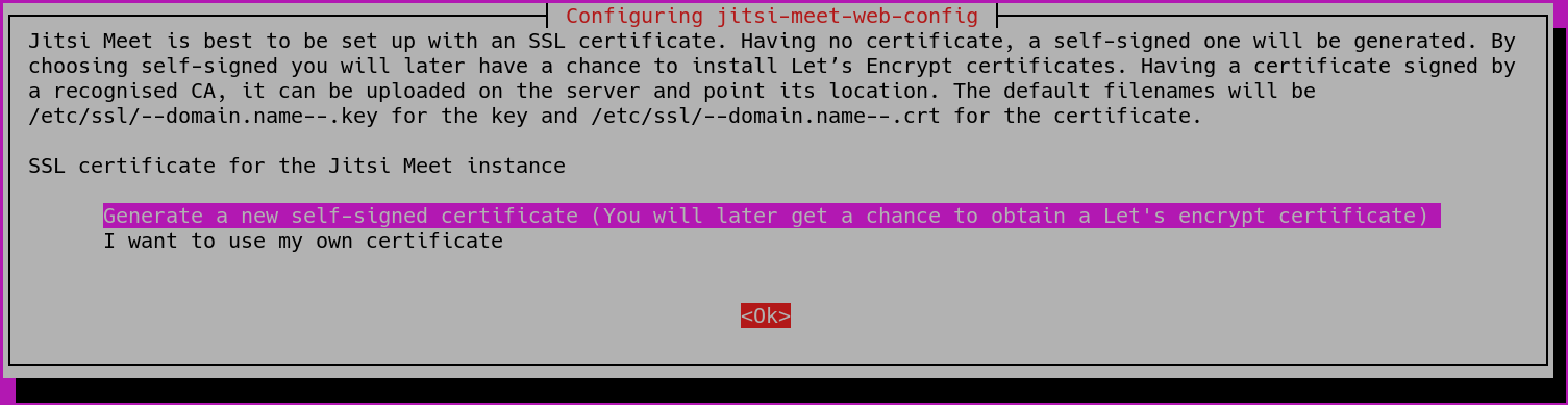 Image showing the jitsi-meet installation certificate dialog