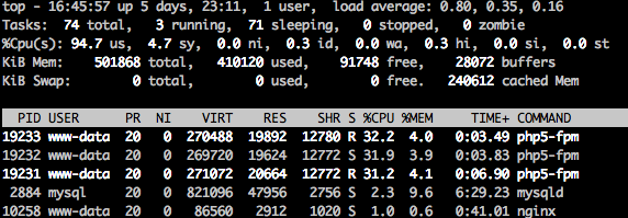 Max CPU Top Output