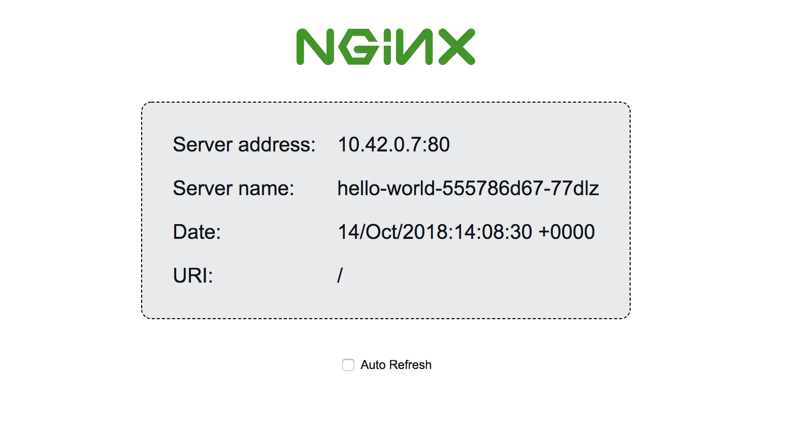 Server address, Server name, and other output from the running NGINX container