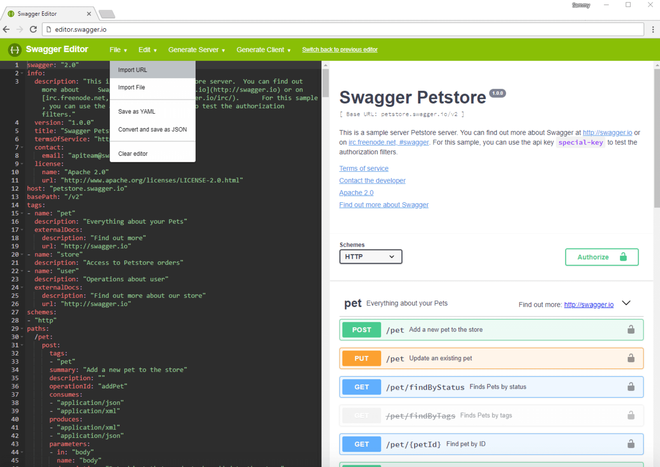 Swagger Editor Import URL