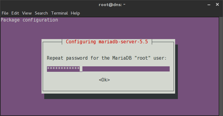 Enter the same root database password